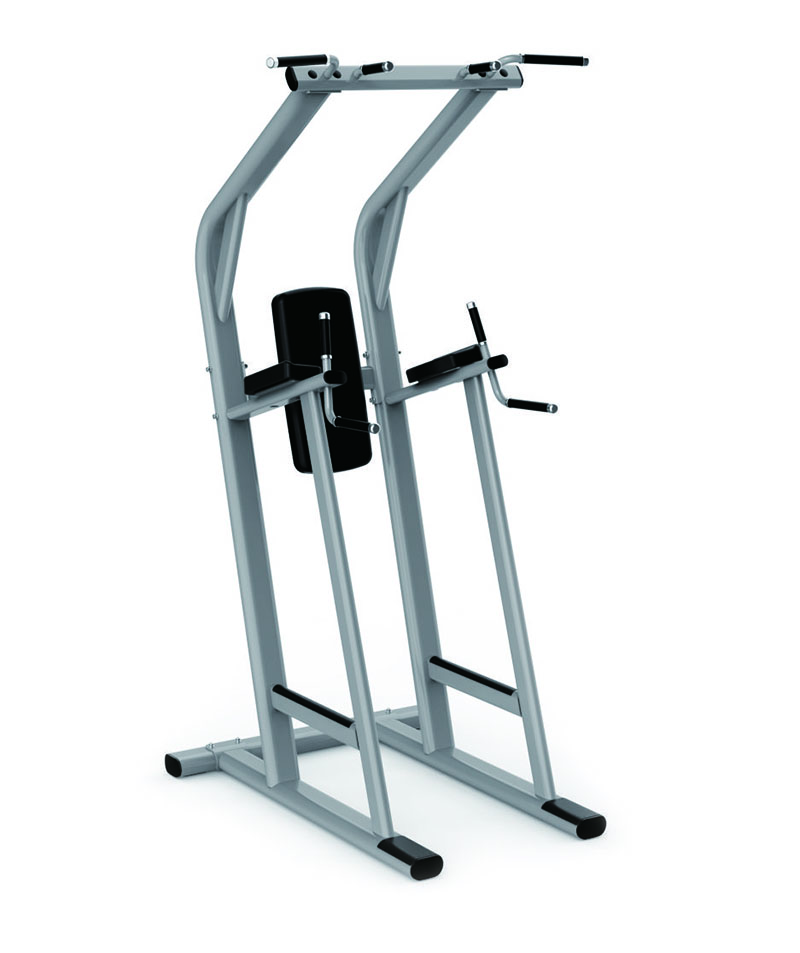 Dip Chin Ab/dip Station